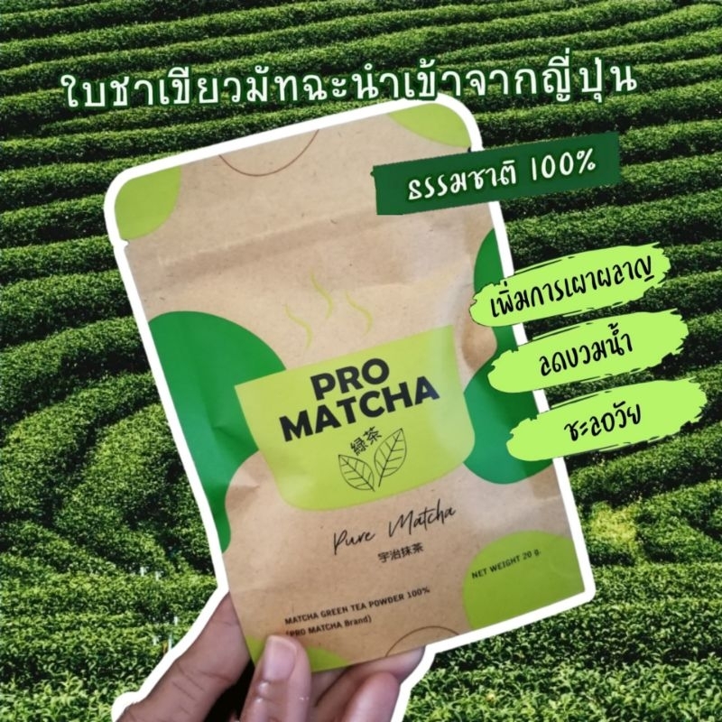 Promatcha โปรมัทฉะ ชาเขียวแท้ นำเข้าจากญี่ปุ่น ผงชา ล้าง ไขมัน ลด ขา ดื่มแทนน้ำเปล่า ชงได้ทั้งร้อนและเย็น ขนาด 20 กรัม