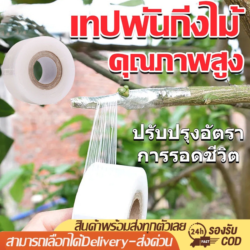เทปพันกิ่งไม้ 120m เทปพันกิ่งทาบ แลปพลาสติก อุปกรณ์ตอนกิ่ง เทปพันกิ่งเสียบยอด ผ้าเทปพันกิ่ง