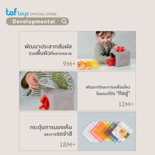 Taf Toys กล่องทิชชู่ป๊อปอัพ Pop Up Tissue Box ของเล่นเสริมพัฒนาการ 12 เดือน ขึ้นไป รูปที่ 4