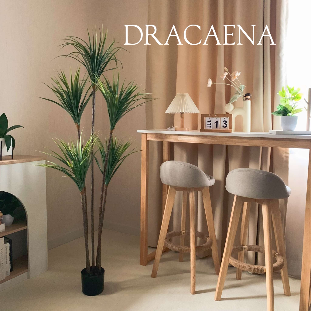 ต้นมังกร มังกรมาดากัสการ์ (Madagascar Dragon Tree) ต้นไม้ปลอม สำหรับตกแต่งบ้าน ( สินค้าพร้อมส่งจากไทย )