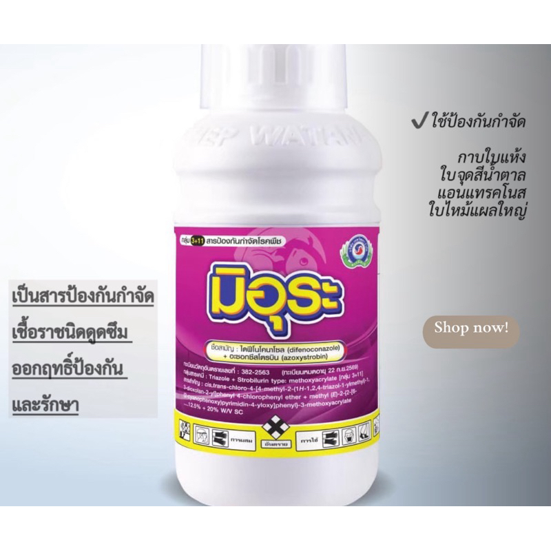 สารป้องกันเชื้อราเข้าขั้ว ใบไหม้ ใบติด ไดฟีโนโคลนาโซล + อะซอกซีสโตรบิน //  มิอุระ