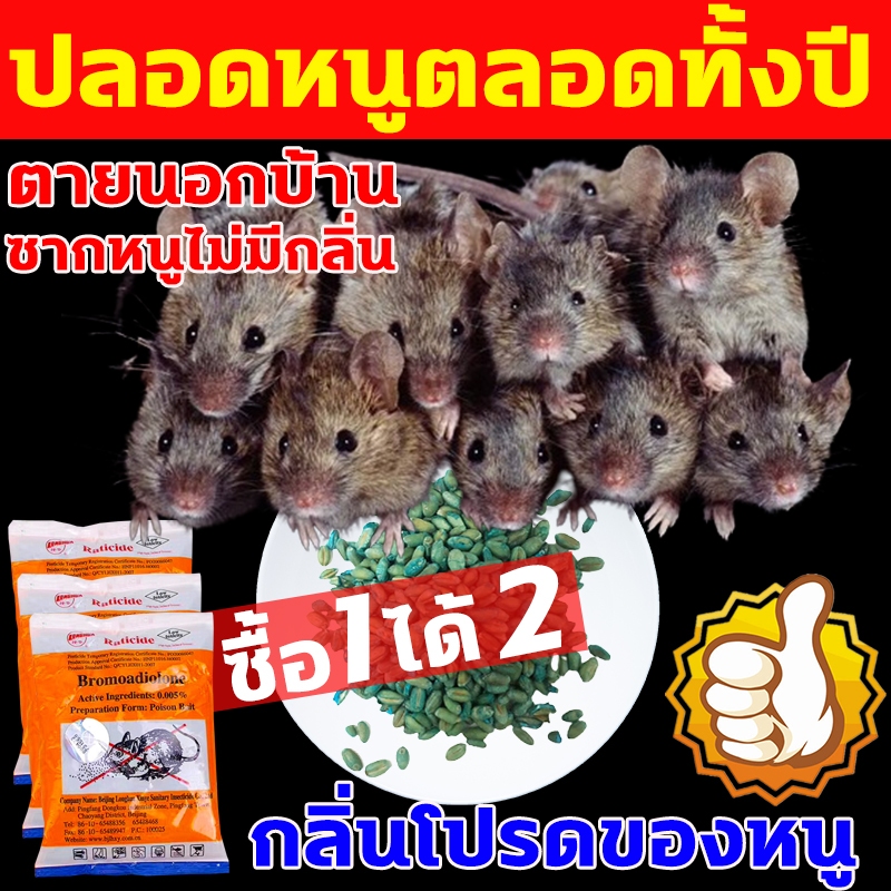 กําจัดหนู 100% RATICIDE ยาเบื่อหนูตายแห้ง 750g ซื้อ 1 ได้ 2 ยาฆ่าหนู ตายแห้ง ไม่เหม็น เหยื่อกำจัดหนู ยากําจัดหนู