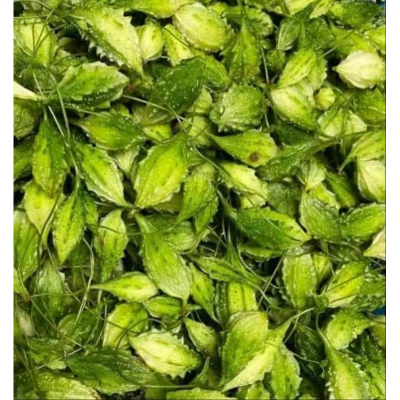 เมล็ดพันธุ์มะระขี้นกเล็ก 30เมล็ด 49 บาทซื้อ2เเถม1