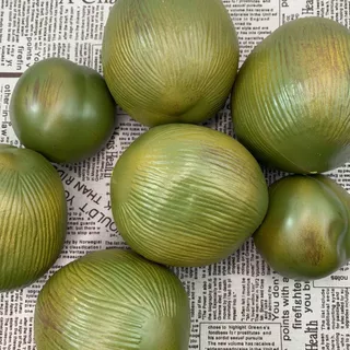 มะพร้าวปลอม มะพร้าวสีเขียวเทียม มเดลมะพร้าว มะพร้าว สําหรับตกแต่ง ร้านค้า หรือใช้เป็นพร๊อพถ่ายรูป