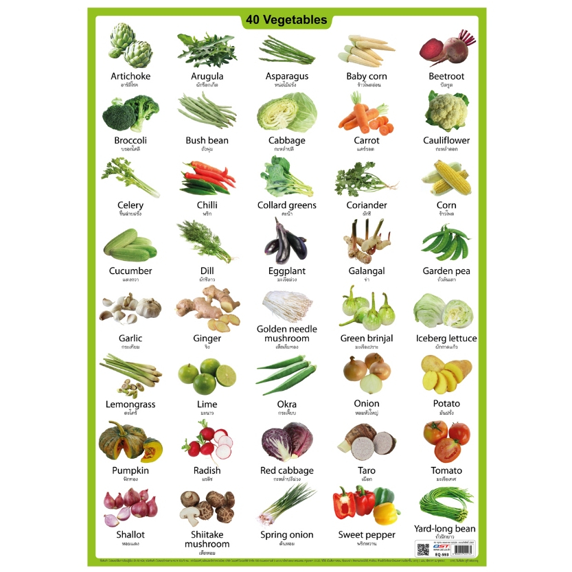 โปสเตอร์ความรู้ ชุดคำศัพท์ ผัก 40 ชนิด No.593 กระดาษ EQ