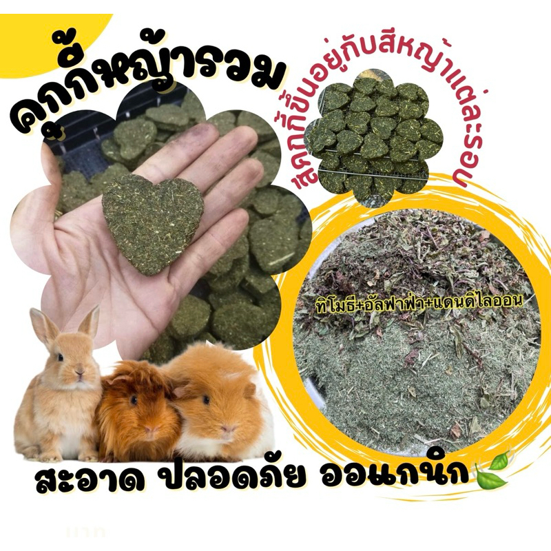 คุกกี้หญ้านิ่มปั้นสดใหม่