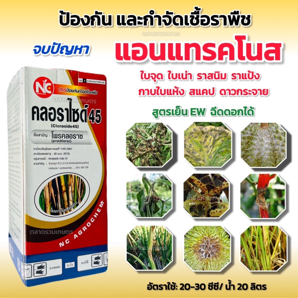 โพรคลอราช  โพรคลอราซ 45% EW คลอราไซด์ 45 สารป้องกันและกำจัดโรคพืช กำจัดเชื้อรา แอนแทรคโนส กาบใบไหม้ ใบจุด ขนาด 1 ลิตร