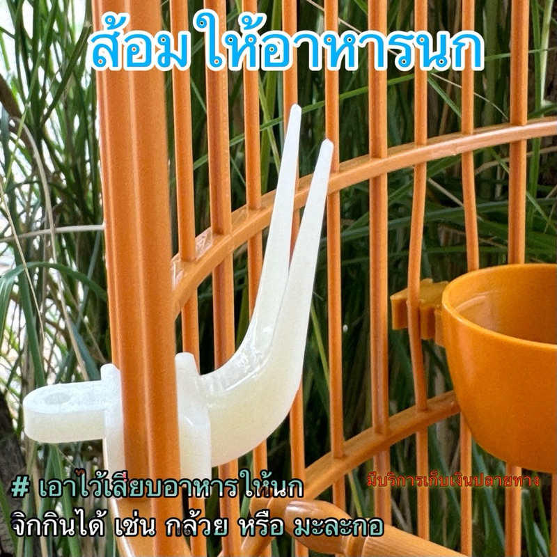 ส้อมให้อาหารนก เสียบอาหารให้นกจิกกิน  เช่น กล้วย หรือ มะละกอ 1.8cm*2.8cm*3.6cm