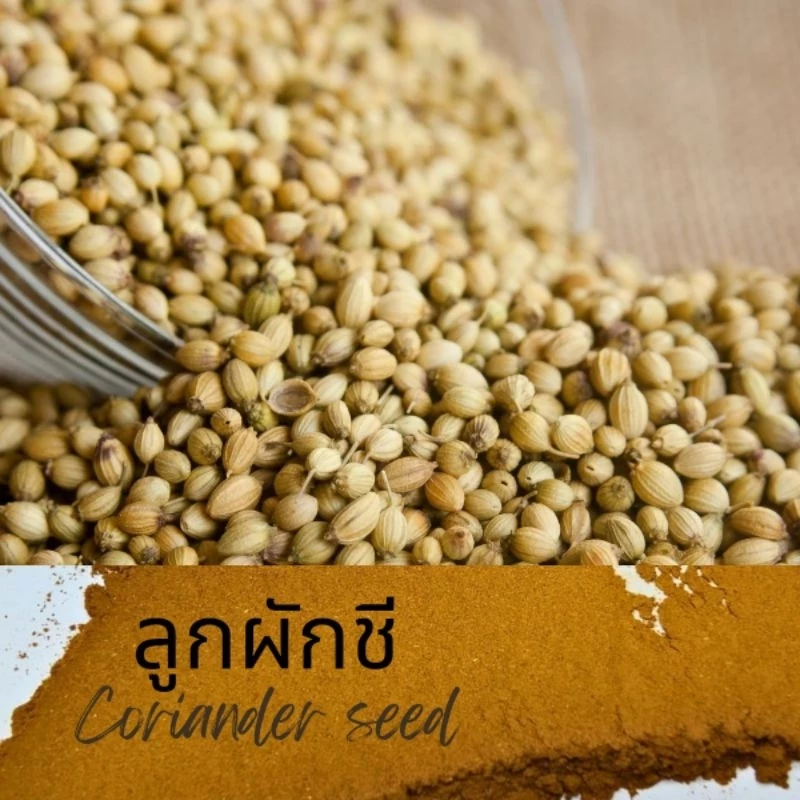 เม็ดผักชี ลูกผักชี ผักชี ขนาด 20 กรัม
