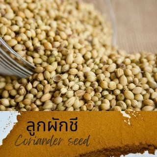 เม็ดผักชี ลูกผักชี ผักชี ขนาด 20 กรัม