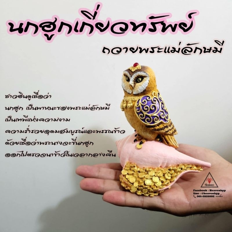 นกฮูกถวายพระแม่ลักษมี นกฮูกเกี่ยวทรัพย์