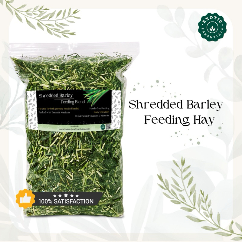 Exotic Essentials 🌿 Barley Hay หญ้าบาเล่ย์ เส้นเล็กสับสั้น ไร้ฝุ่น ไฟเบอร์สูง สำหรับ กระต่าย แกสบี้ 