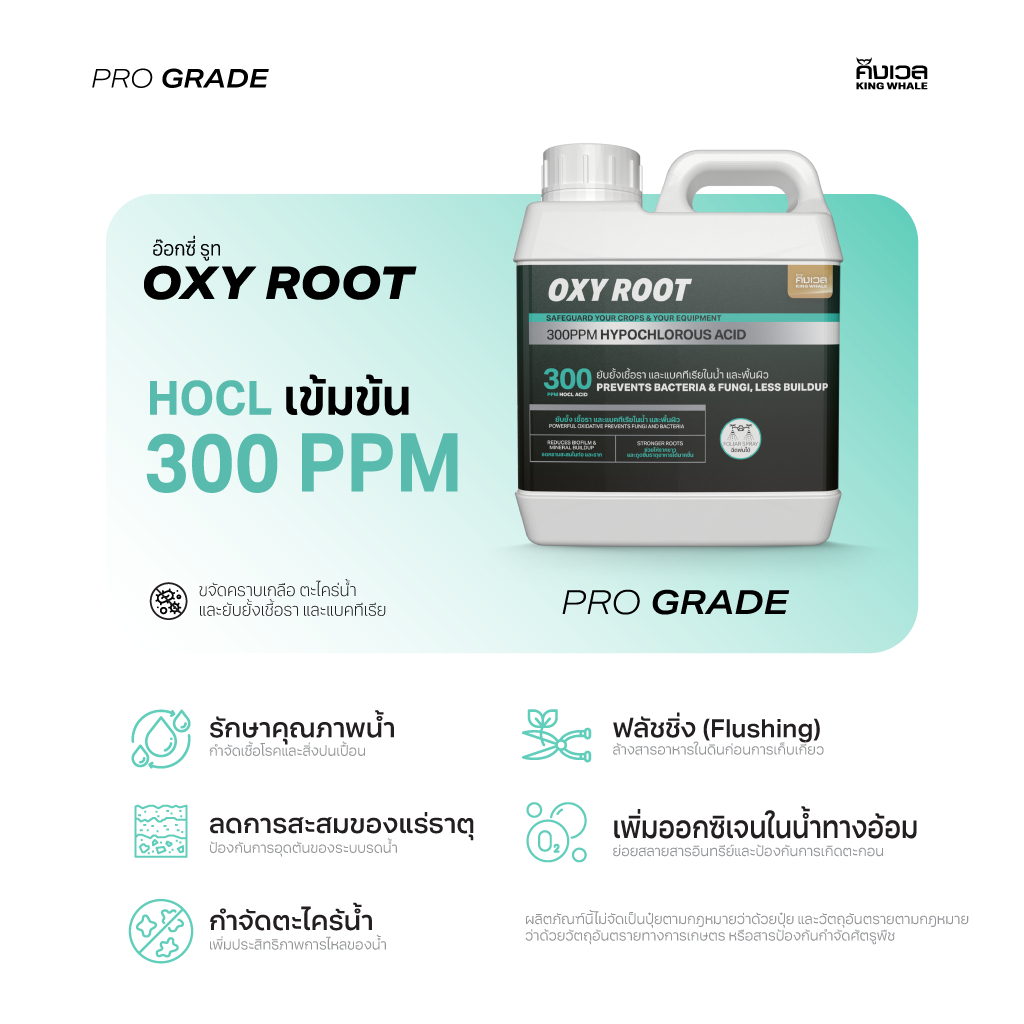 HOCl ACID เข้มข้น 300PPM ยับยั้งเชื้อราไม่ดี และแบคทีเรีย แก้รากเน่า สะอาดปล่อยภัย - OXYROOT อ๊อกซี่รูท (PART-C) | ปุ๋ย - รูปที่ 2