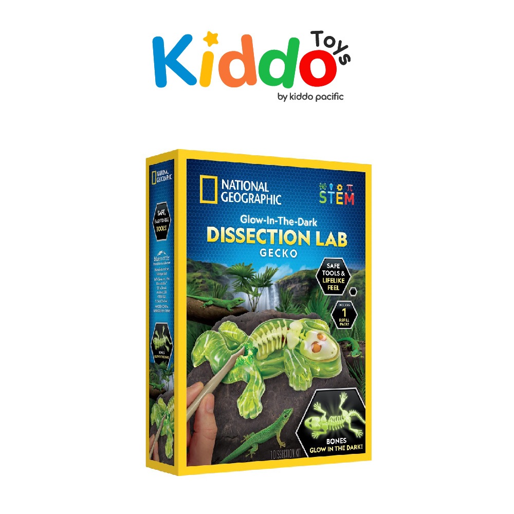 National Geographic Gecko Dissection Lab ของเล่น ผ่าจิ้งจกจำลอง เรืองแสง มากับเครื่องมือ ใช้ง่าย