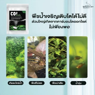Co2 แบบเม็ด ละลายในน้ำ เพิ่มก๊าซคาร์บอนไดออกไซด์ให้กับพืชน้ำ ช่วยให้พืชน้ำเจริญเติบโตได้ดี 1ซอง 10เม็ด