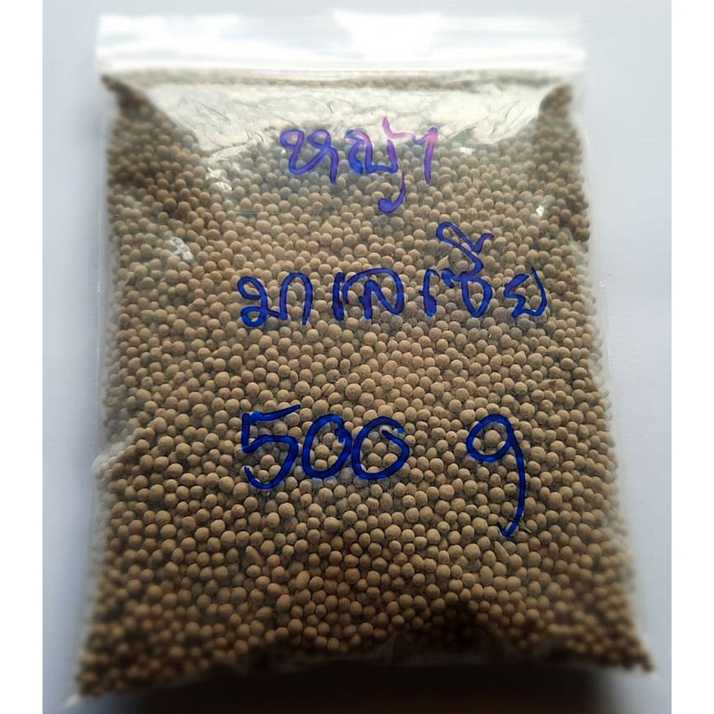 ขายส่ง เมล็ดหญ้ามาเลเซีย Tropical Carpet grass Savanna Grass หญ้าเห็บ หญ้าไผ่ หญ้าปูสนาม พืชตระกูลหญ้า 500 กรัม