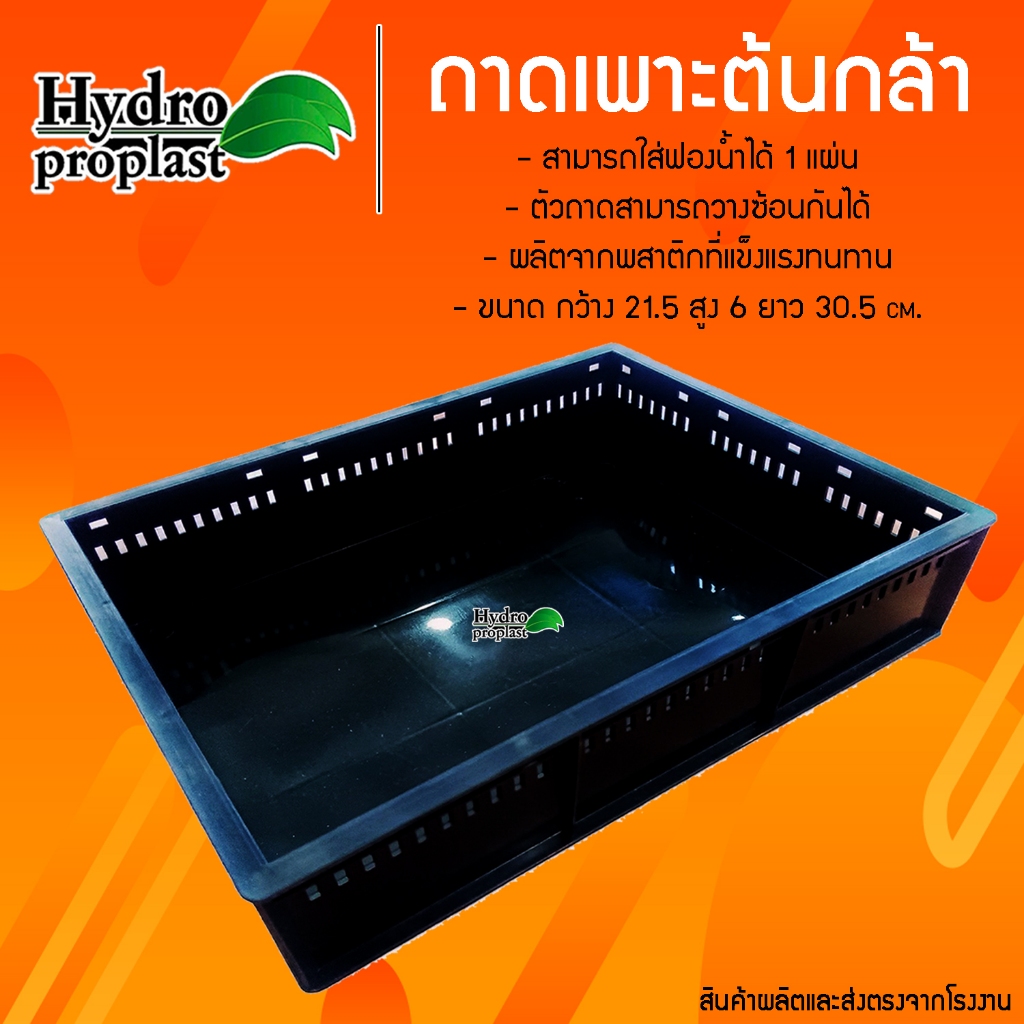 ถาดเพาะต้นกล้า เพาะเมล็ดผัก เพาะเมล็ดไฮโดรโปรนิกส์ 6 cm. สีดำ