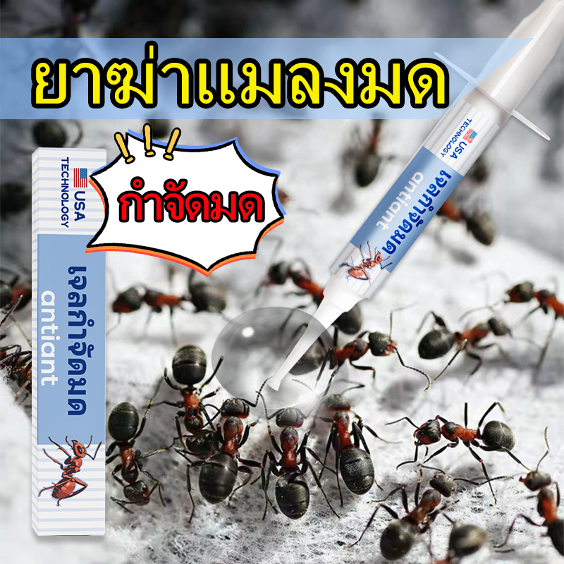 หยดเดียวตายยกรัง เจลกำจัดมด ยาฆ่ามด กําจัดมด ยาฆ่ามด ตายยกรัง ไม่อัตรายต่อสัตว์เลียง สำหรับมดทุกชนิด