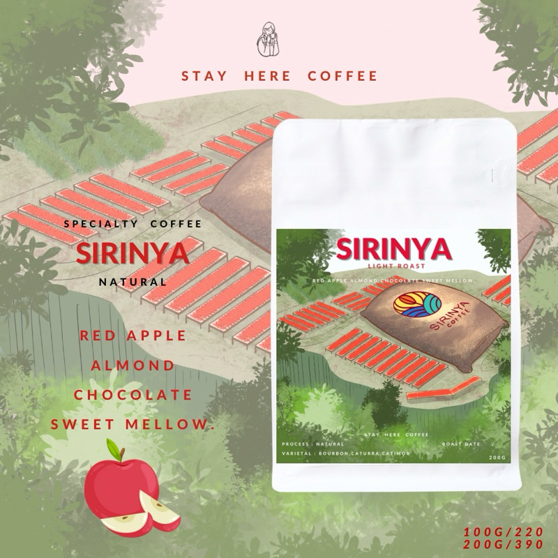 เมล็ดกาแฟคั่วอ่อน SIRINYA