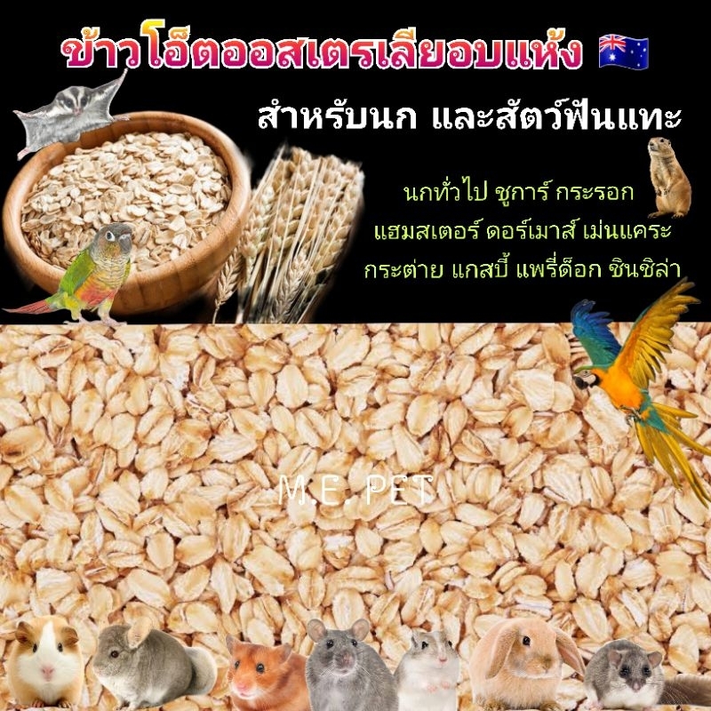 ข้าวโอ็ตแผ่นอบแห้ง อาหารเสริมสำหรับนก แฮมสเตอร์ กระรอก ชูการ์  กระต่าย และสัตว์ฟันแทะอื่นๆ (ข้าวโอ็ตแผ่น)