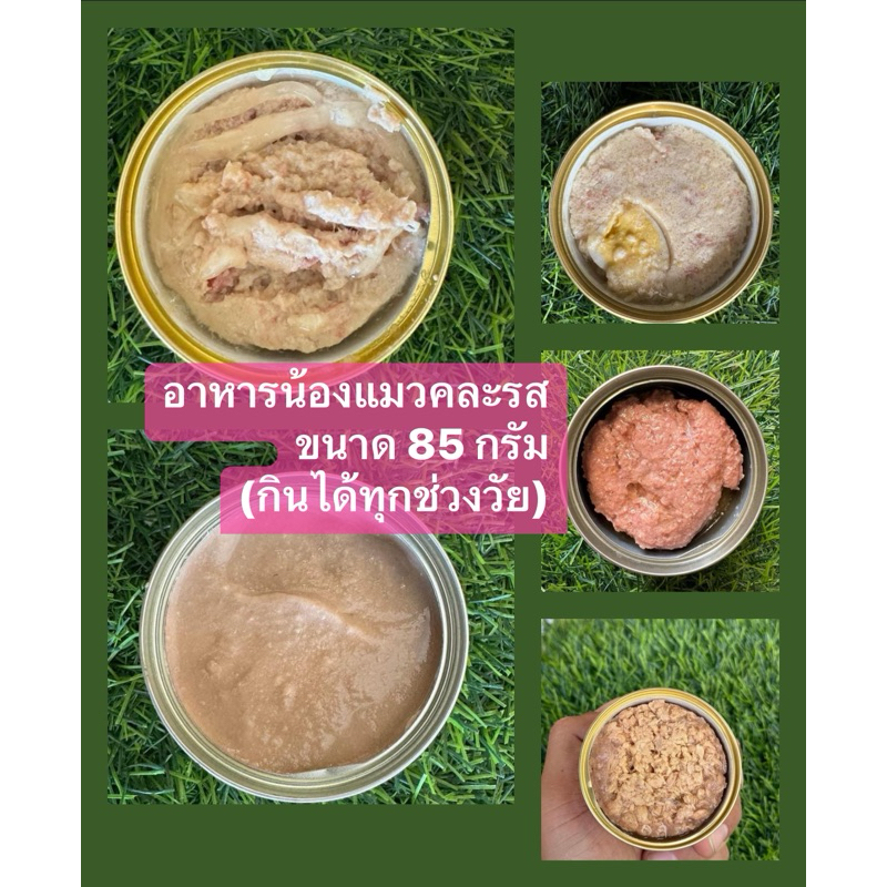ชุด 24 กระป๋อง อาหารเปียกคละรส 85 กรัม
