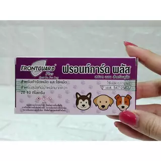 Frontguard Plus กำจัดหมัด และไข่หมัด เห็บ สำหรับสุนัขและแมว