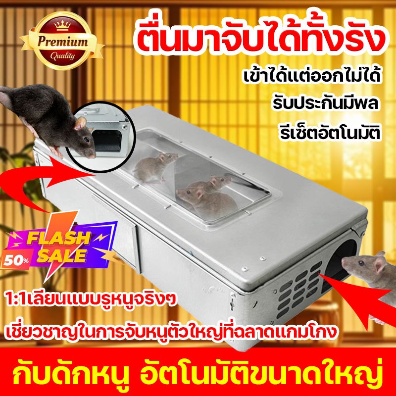 เชี่ยวชาญในการจับหนูตัวใหญ่ที่ฉลาดแกมโกง กรงดักหนู เข้าได้แต่ออกไม่ได้ กับดักหนู อัตโนมัติขนาดใหญ่ ที่จับหนู ดักหนู