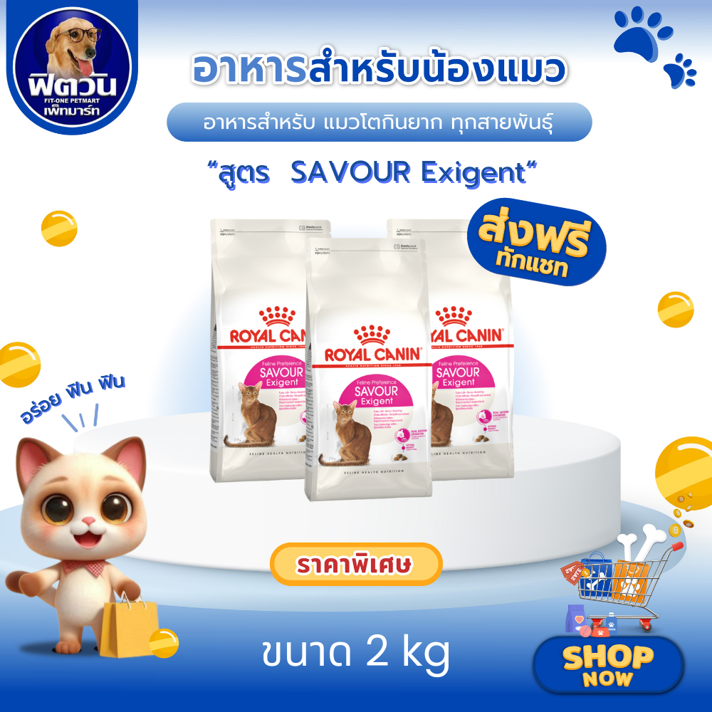 ROYAL CANIN Exigent Savour อาหารเม็ดสำหรับแมวโตทุกสายพันธุ์ สูตรแมวทานยากเลือกทานจากรูปทรงเม็ด ขนาด 2 กิโลกรัม