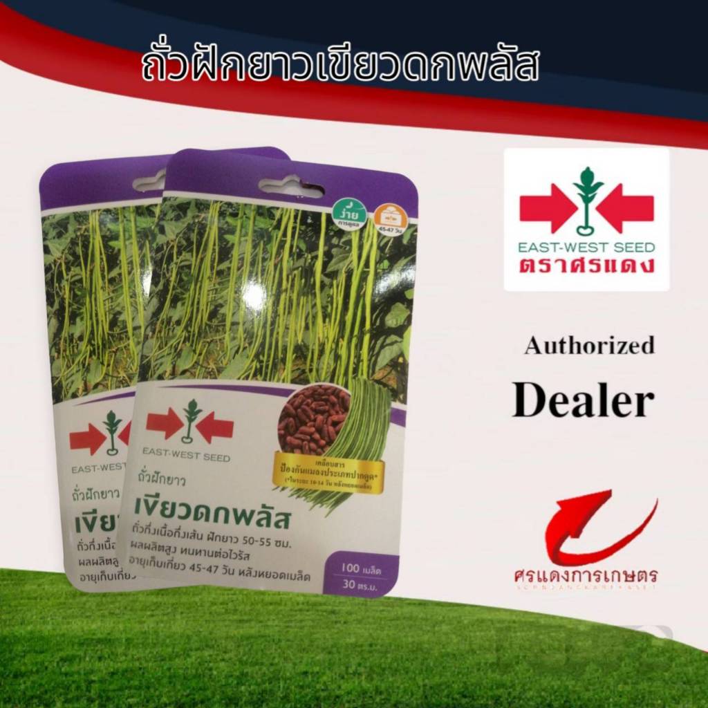 ผักซองศรแดงถั่วฝักยาวเขียวดกพลัส