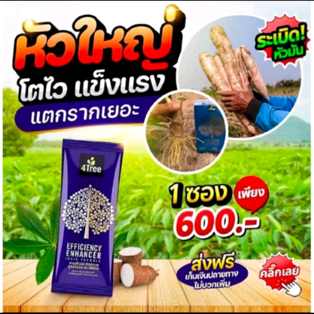 โฟร์ทรี 4tree สารเพิ่มประสิทธิภาพพืช