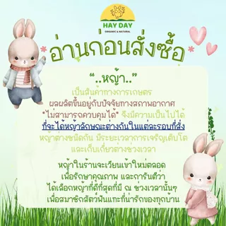 🔹ใบแครอท🔹Carrot Leaves อบลมร้อน ใบแครอทอบแห้ง ไร้ฝุ่น เขียวหอม สำหรับกระต่ายและสัตว์ฟันแทะทุกชนิด