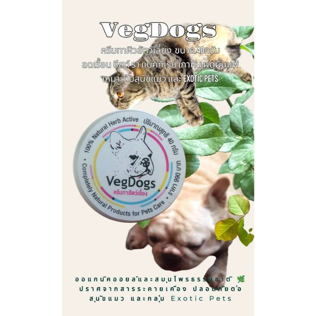 ครีมสมุนไพรสำหรับทาผิวสัตว์เลี้ยงVegDogs 40กรัม เพิ่มความชุ่มชื้นแก่ผิวของสุนัขและแมว ขายดีมาก