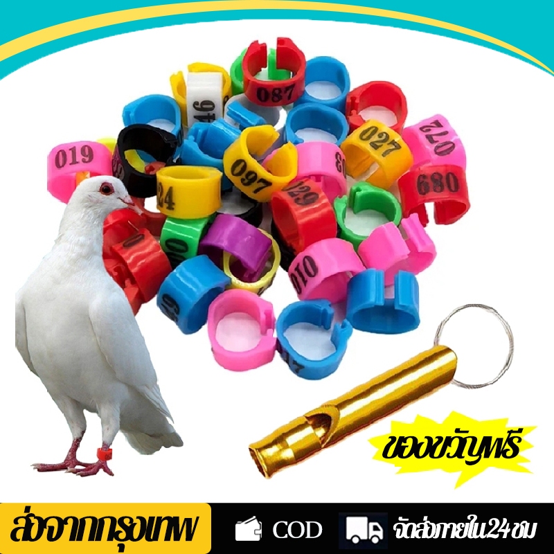 ส่งเร็ว ห่วงขานกเขา ห่วงขานก ห่วงขานกเขาใหญ่ นกเขาชวาคละสี ขนาด 8mm 10 ชิ้น