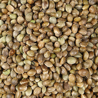 ฮวยมั้ว เกรด A เนื้อแน่น ซีลสุญญากาศป้องกันมอดและแมลง ใช้สำห…