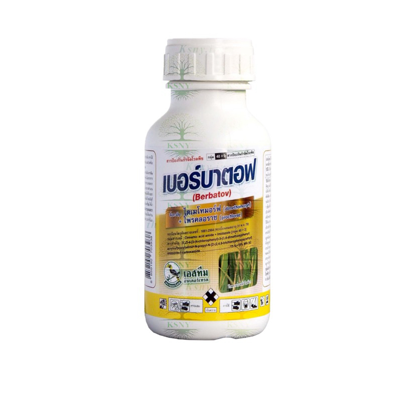 เบอร์บาตอฟ (ไดเมโทมอร์ฟ+ โพรคลอราช 15%+15% WIV EC)ป้องกันกำจัด โรคใบจุดจากเชื้อราไฟทอปธอร่า โรคผลเน่า