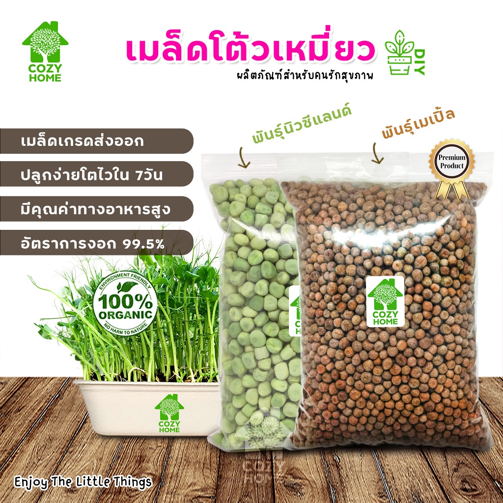 เมล็ดต้นอ่อนโต้วเหมี่ยว ต้นอ่อนถั่วลันเตา เมล็ดพันธุ์ผักออแกร์นิก Microgreen พร้อมปลูก สวนครัวในบ้าน