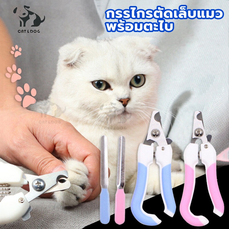 【CAT&DOG】พร้อมตะไบ กรรไกรตัดเล็บแมว ตัดเล็บสุนัข ที่ตัดเล็บแมว กรรไกรตัดเล็บสัตว์เลี้ยง ใช้ได้ทั้งน้องแมวและน้องหมา