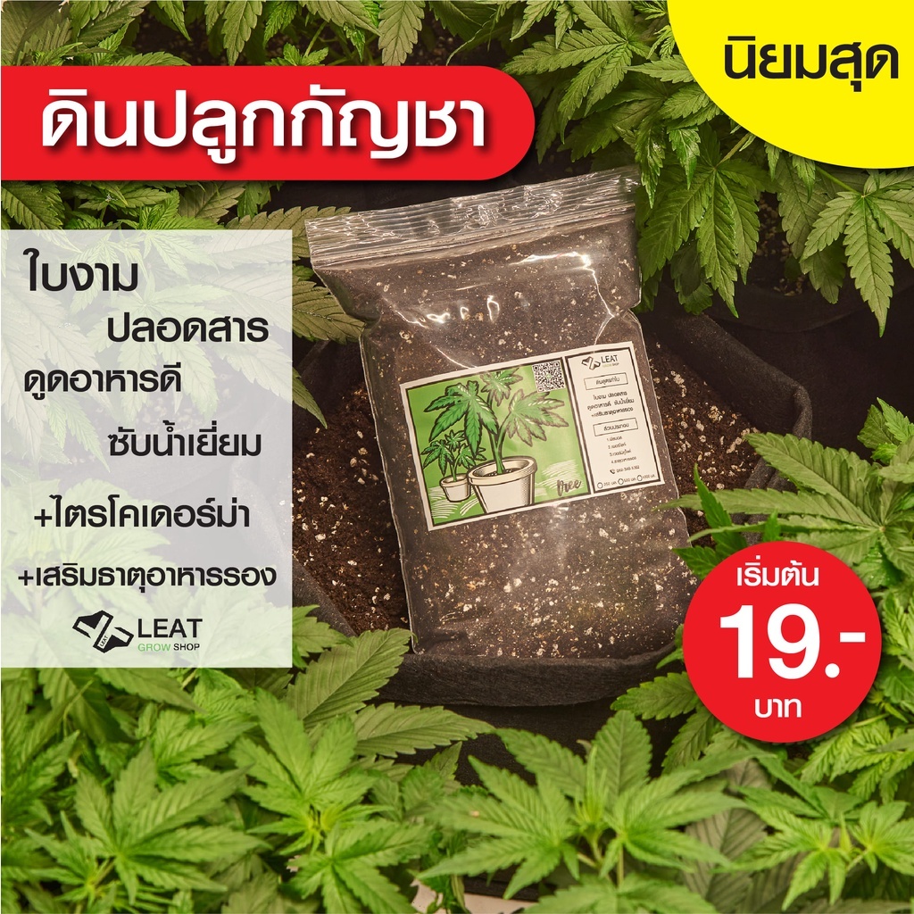 ดินปลูกสูตรต้นอ่อน เพาะกล้า ชำกิ่ง กัญชา 420 plant seedings soil ออแกนิค แนะนำฟรี