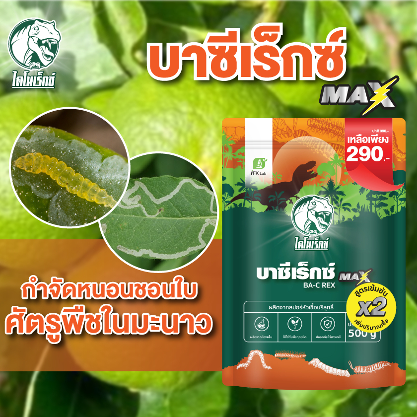 กำจัดศัตรูพืช ยาฆ่าหนอนชอบใบ ใน มะนาว และ พืชทุกชนิด บาซีเร็กซ์ โดย ไดโนเร็กซ์
