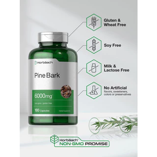 Horbaach Pine Bark Extract 6000 mg, 180 Capsules (No.3119) ยอดขายอันดับ 1