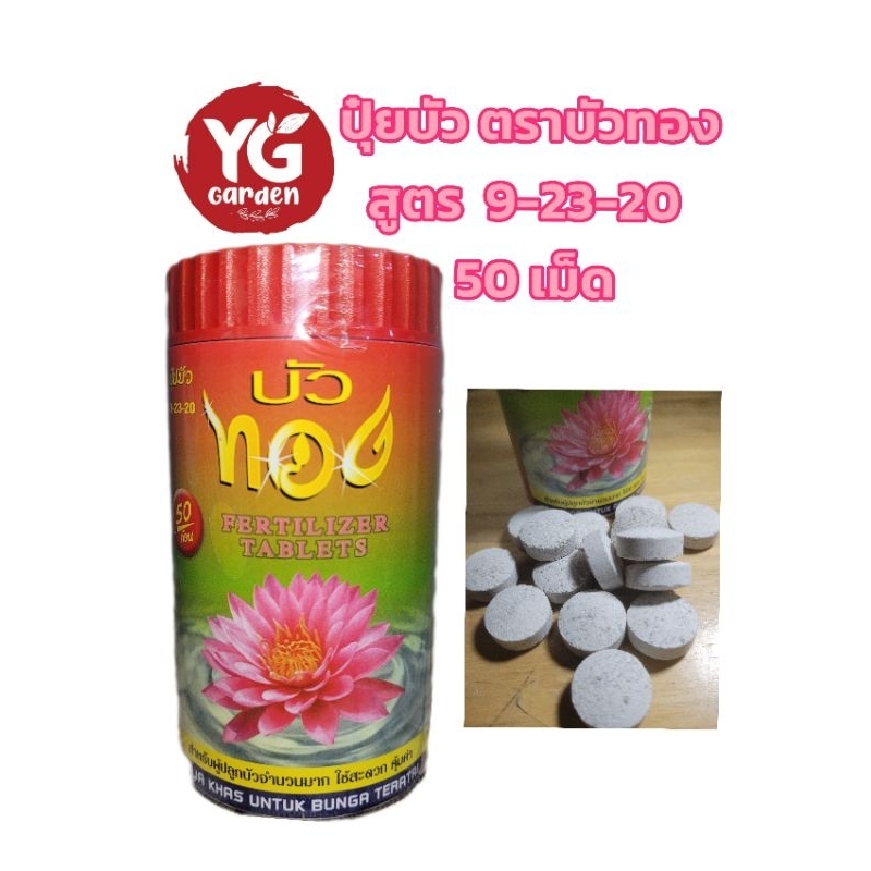 ปุ๋ยบัว ตราบัวทอง สูตร 9-23-20 แบบกระปุก 50 ก้อน