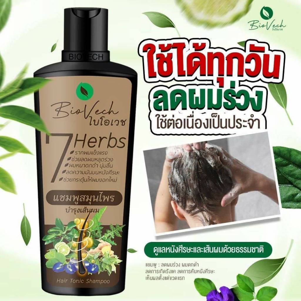 รูปภาพ 2