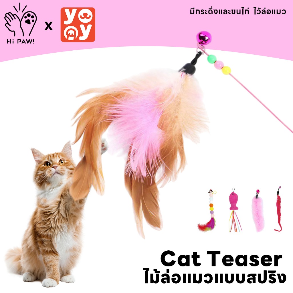 hipaw ♔Cat Teaser ไม้ล่อแมว แบบสปริง ของเล่น ที่ตกแมว ลวดสลิง