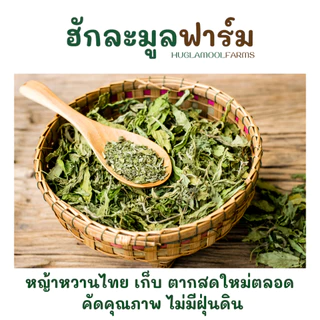 หญ้าหวาน ไทย ออร์แกนิค 25กรัม ตราฮักละมูลฟาร์ม Organic Stevia ชาหญ้าหวาน