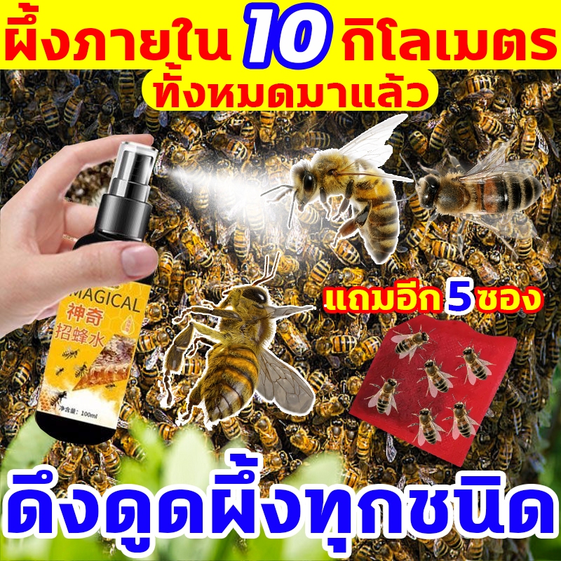 ฉีดพ่นตรงไหนผึ้งก็ไปที่นั่น ฟีโรโมนล่อผึ้ง ผึ้งภายใน 10 กิโลเมตรทั้งหมดมาแล้ว ฟีโรโมนผึ้ง ไขล่อผึ้ง ไขล่อผึ้งโพรง