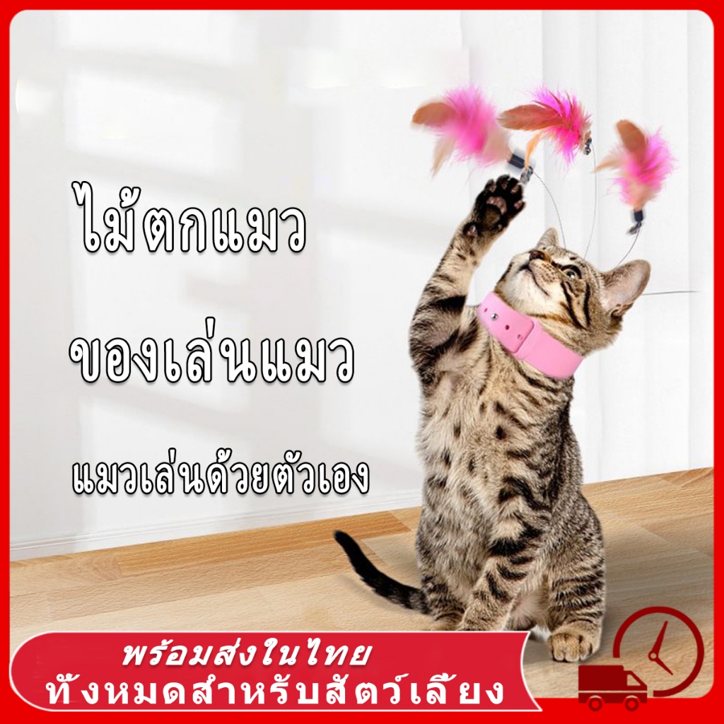 😻ของเล่น ของเล่นแมว ไม้ตกแมว ไม้ล่อแมว ปลอกคอแมว ของเล่นล่อแมว ขนนก แบบปุ่มดูดสุญญากาศ ไม้ตกแมว ไม้แหย่แมว สําหรับแมว