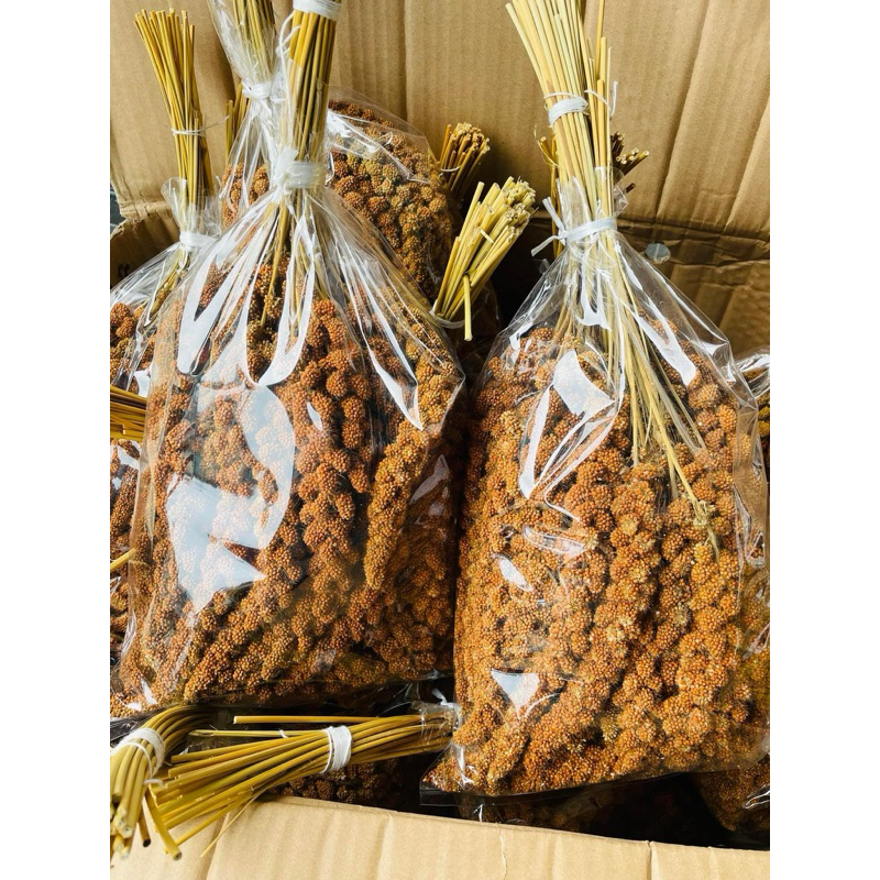 มิลเล็ตสเปรย์แดง (แบ่งขาย 1KG.)  อาหารนกแก้ว หนูแฮมสเตอร์ และสัตว์ฟันแทะ