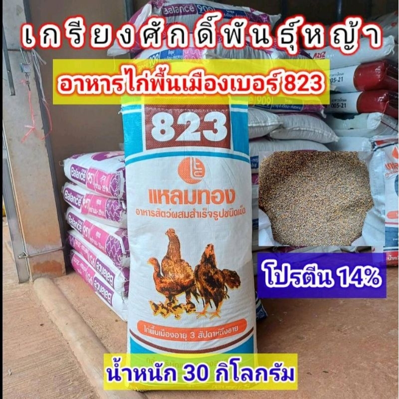 อาหารไก่แหลมทองเบอร์ 823 เหมาะสำหรับไก่พื้นเมือง อายุ 3 สัปดาห์ถึงขาย โปรตีน 14% 1 สอบ 30 กิโลกรัม