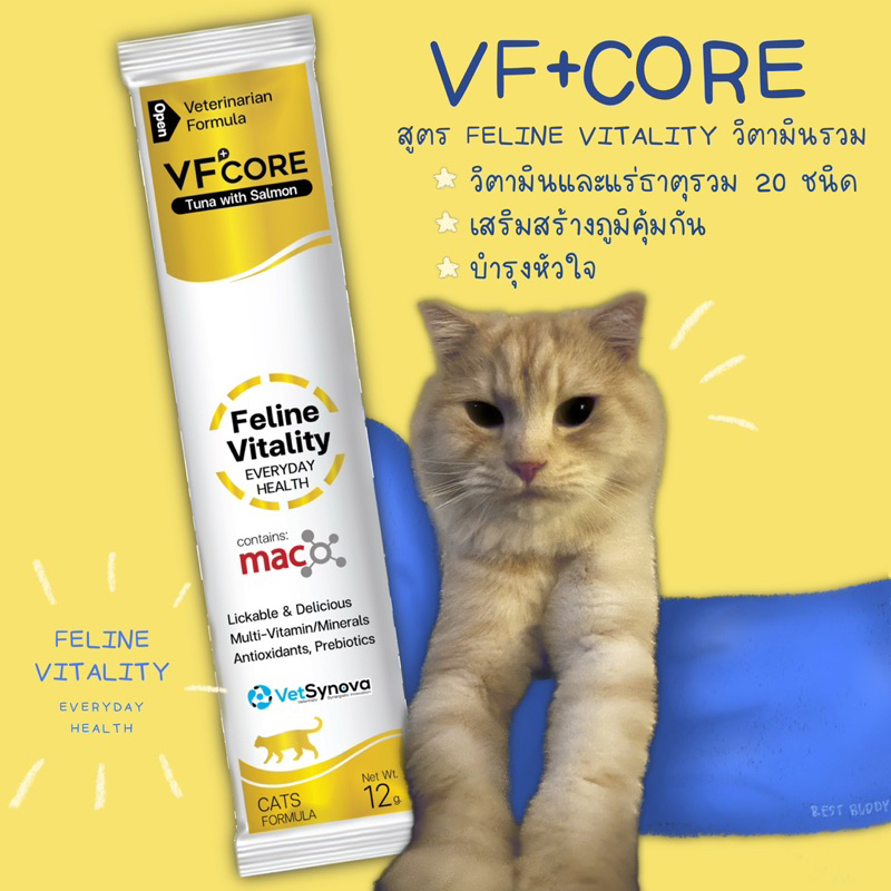 VFcore Feline Vitality สีทอง ขนมแมวเลีย วิตามินรวม