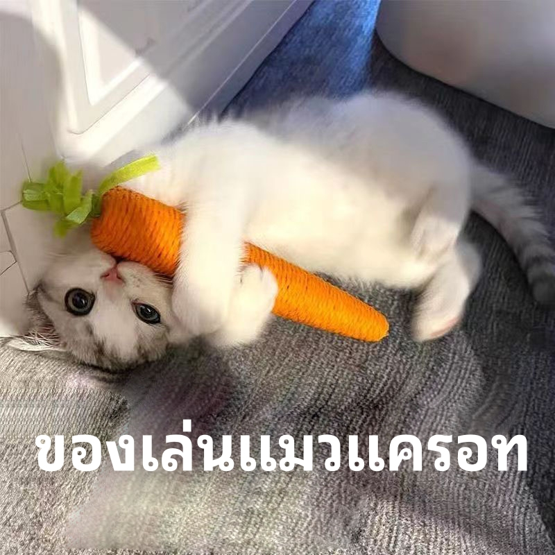 ของเล่นสุนัขตุ๊กตาเคี้ยวของเล่นตลกแครอทสร้างสรรค์แครอทรูปร่าง Squeaky ลูกสุนัขการฝึกอบรม Interactive ของเล่นกัดอุปกรณ์สั